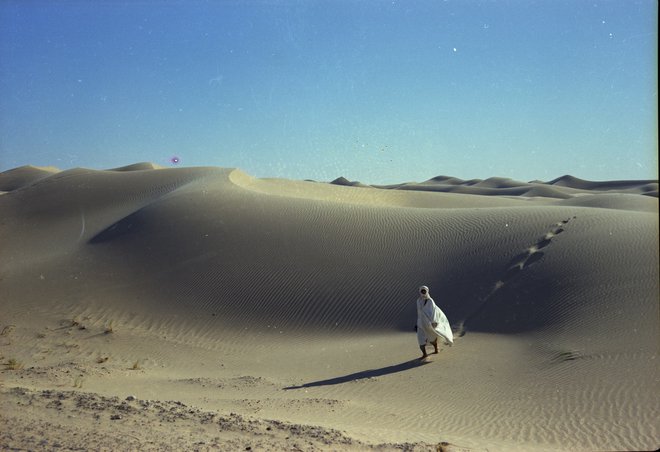 <em>Fatamorgana</em><em> </em>(1971) je prvi dokumentarec Wernerja Herzoga, ki ga je posnel v Afriki. Foto arhiv FDF