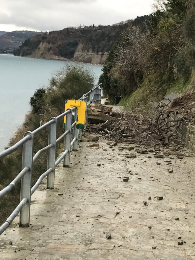 Plaz se je usul na pot v Fieso. Foto Okolje Piran