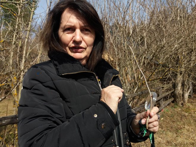 Margrit Kren, strokovnjakinja za razbiranje drevesnih obrazov (na levi). FOTO: Helena Kocmur