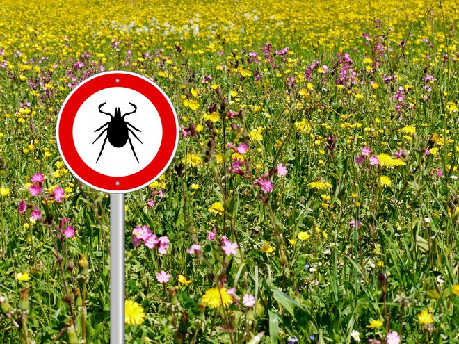 Opozorilo je na mestu, klopi so tudi že v mestih. FOTO: Shutterstock