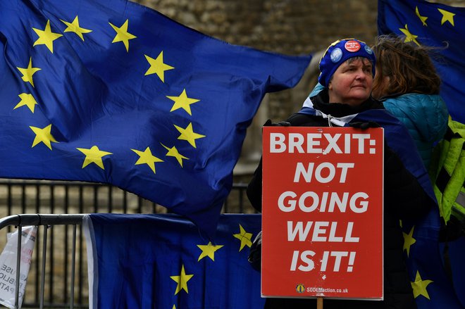Protestniki pred britanskim parlamentom. FOTO: Ben Stansall/AFP