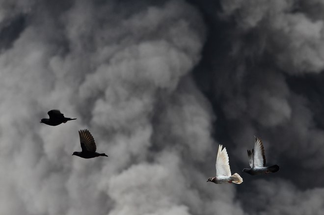 Moramo vedeti, kako ti ljudje razmišljajo, če jih hočemo ustaviti. FOTO:&nbsp;Reuters