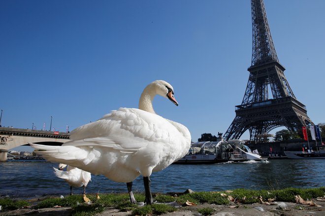 Pariz je eno najdražjih mest na svetu. FOTO: Reuters