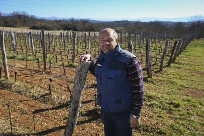 Benjamin Zidarich: &raquo;Meja mi ne pomeni nič. Smo na Krasu in osebno mi je vseeno, ali kupim teren v Italiji ali Sloveniji, pomembno je, da je v bližini moje domačije, odmaknjeno le nekaj minut vožnje s traktorjem.&laquo; Foto Jože Suhadolnik