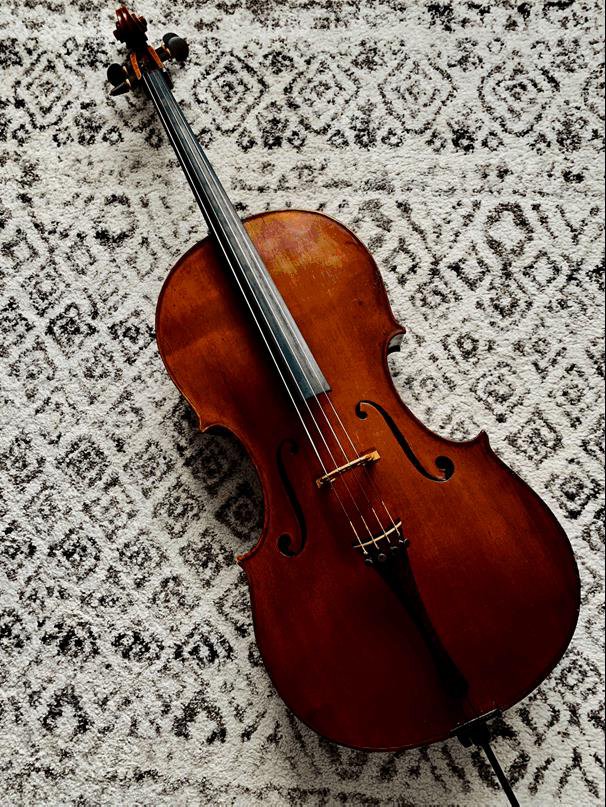 Spletni portal<em> 24ur.com</em> je poročal, da je inštrument pripadal vrhunskemu violončelistu&nbsp;Bernardu Brizaniju. FOTO: PU Ljubljana