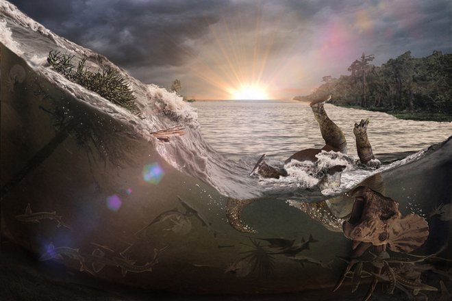 Ilustracija vala, po katerem se je ustvarila nenavadna plast fosilov. FOTO: Robert DePalma