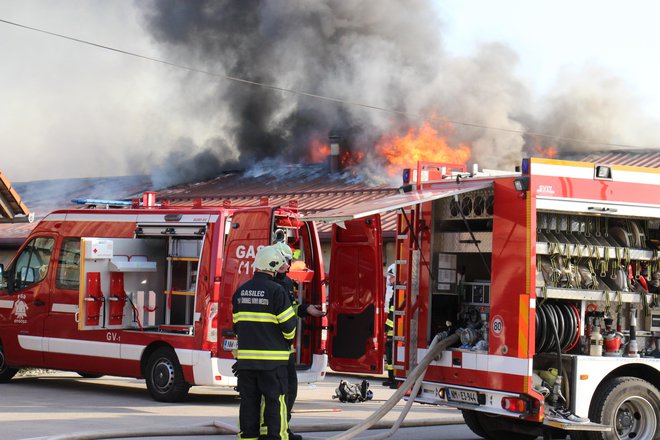 Fotografija je simbolična. FOTO: Tanja Jakše Gazvoda