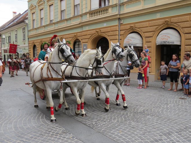 Po levi strani cest so hodile že vojske antičnega Rima, Grčije in Egipta. FOTO Franc Milosič