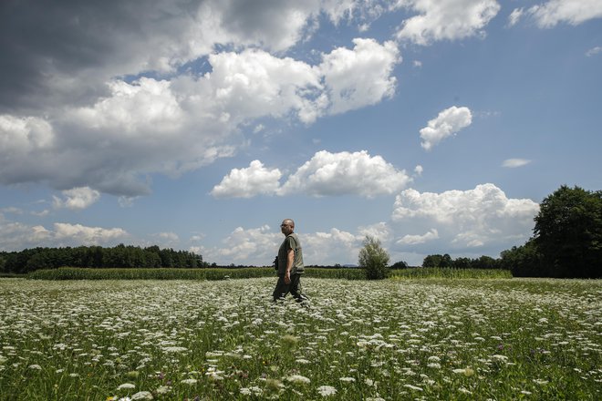 V naravo se odpravimo oblečeni v svetlejša oblačila, ki pokrivajo čim večji del telesa, z dolgimi rokavi in hlačnicami ter z zaprtimi čevlji. Foto Uroš Hočevar