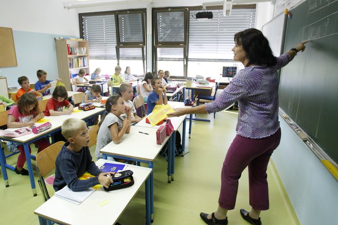 V zasebnih šolah opozarjajo, da je razširjeni program za učence res izbira, za šole pa je obvezen. FOTO: Leon Vidic/Delo