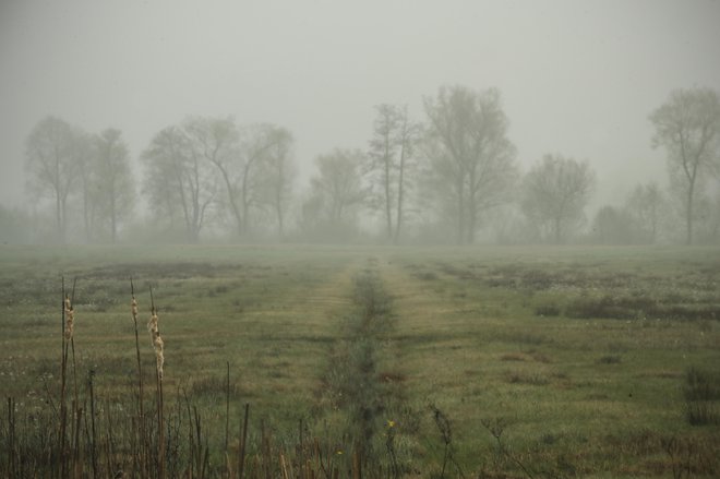 Duševne motnje se pogosto nadaljujejo iz zgodnejšega obdobja, seveda pa lahko v starosti nastanejo tudi prvič v življenju. Foto Uroš Hočevar