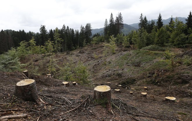 Predlog uredbe o širitvi vodovarstvenega območja na Pernikih je bil vložen že pred desetletjem. FOTO: Blaž Samec/Delo