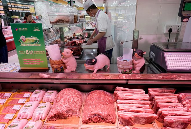Na Kitajskem je zaradi bolezni poginilo ali bilo zaklanih že več kot milijon prašičev, tudi plemenskih svinj. FOTO: Reuters