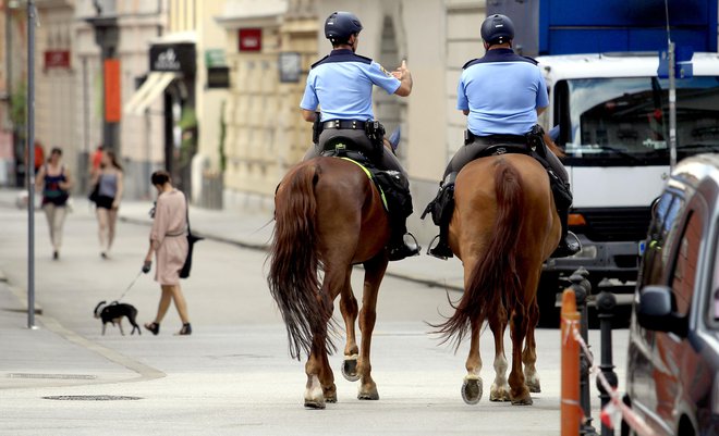 V javnem sektorju se je v zadnjih letih finančni položaj najbolj popravil vojakom in policistom. Foto Roman Šipič