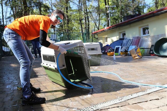 Urejanje okolice v horjulskem zavetišču je eden od členov v dolgi verigi vsakoletnih prostovoljskih aktivnosti v okviru dneva sodelovanja z lokalno skupnostjo. Foto Tomi Lombar