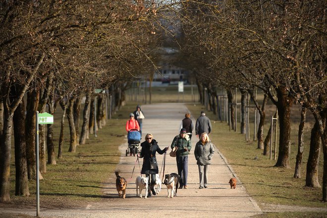 &quot;Pred časom smo peljali na sprehod družinsko zverino, kar srečamo par, ki nas pozdravi: &raquo;Ta pa rad jè&nbsp;...&laquo; Ozrem se: za mano gresta moja boljša in naša štirinožna polovica. &raquo;Ali mislite mojega psa ali mojega moža?&laquo; Opravičila nismo dočakali&nbsp;...&quot; FOTO: Jure Eržen/delo