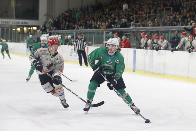 Hokejski navdušenci bi si zaslužili tudi močnejše tekmovanje kot je AHL, a brez bogatega mecena bosta drugorazredna regionalna liga in DP vrhunec. FOTO: Leon Vidic/Delo