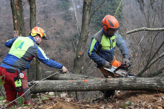 Planet omogoča preživetje, a s takšno rabo se bo to spremenilo. FOTO: Tomi Lombar/Delo