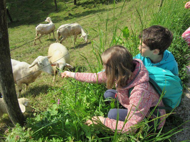 Streljaj od mesta se tik pod začetkom strme poti na Celjsko kočo začne podeželska idila. FOTO: Špela Kuralt/Delo