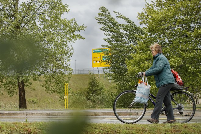 Veter podira drevesa in odkriva strehe že po vsej državi. FOTO: Uroš Hočevar/Delo