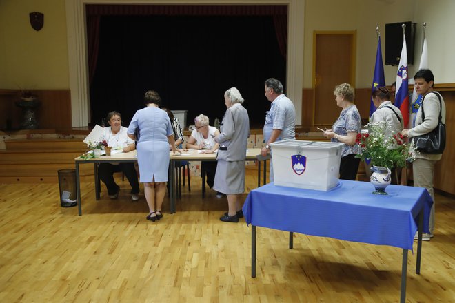 V nedeljo, 26. maja, se bodo za glasove volivcev potegovali 103 kandidati na 14 listah. FOTO Leon Vidic/Delo
