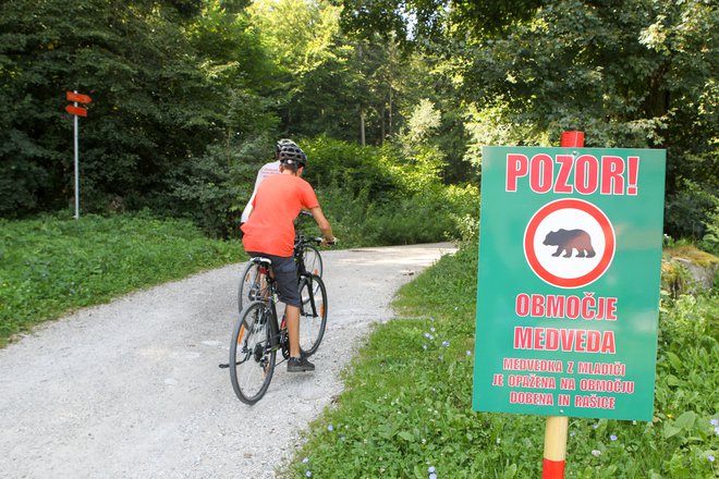 Dajmo najprej besedo tistim, ki so sprožili in dosegli sodno odločbo o neizvajanju odstrela določenega števila medvedje in volčje populacije v Sloveniji. Foto Marko Feist