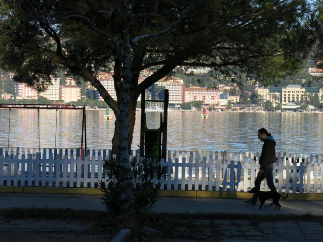 Vse bi bilo še sprejemljivo, če bi namesto vsakega »padlega« drevesa bilo posajeno drugo drevo. Foto Boris Šuligoj