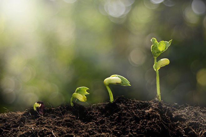 Narava je zaklad, pomagajte nam jo rešiti!<br />
FOTO: Lovethewind Getty/istockphoto