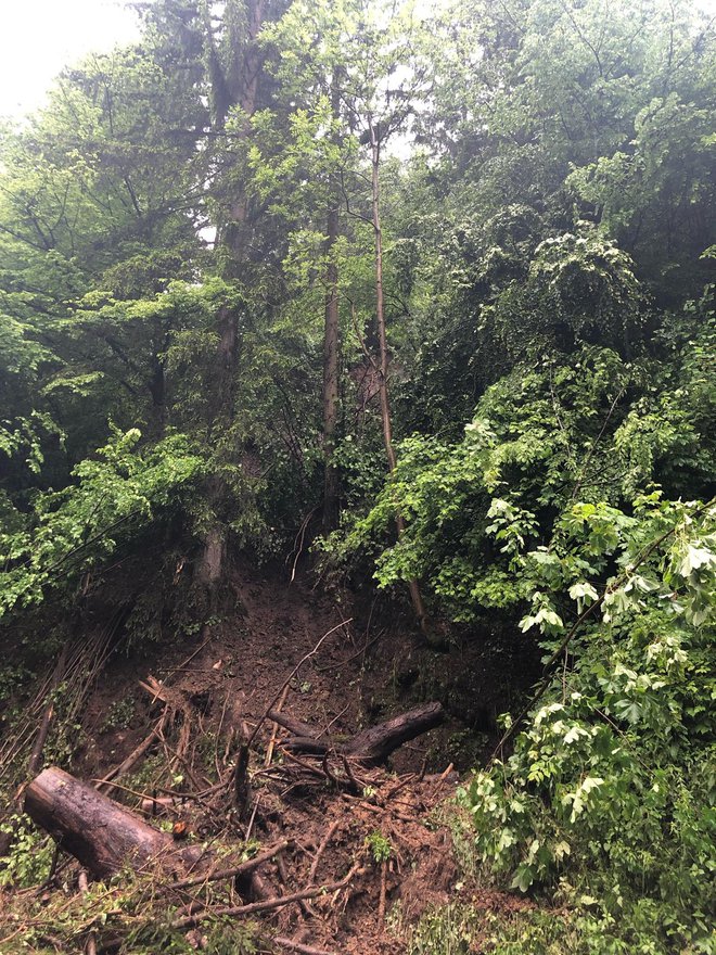 Na Koroškem sta se v sredo sprožila dva plazova na območjih občin Prevalje in Podvelka. FOTO: PGD Prevalje