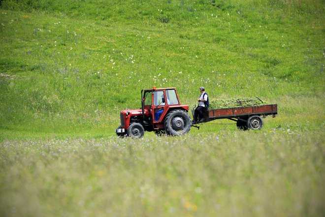 Fotografija je simbolična. FOTO: Leon Vidic/delo