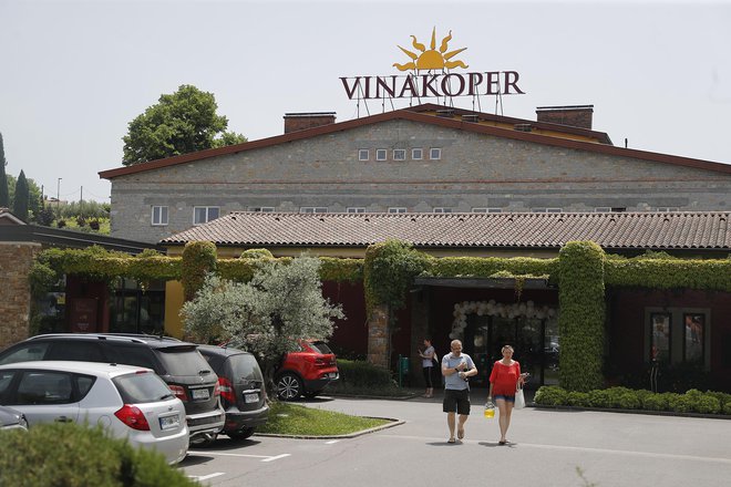 Vinakoper posluje uspešno ter vse bolj povezuje vinarje in vinogradnike slovenske Istre.<br />
Foto Leon Vidic
