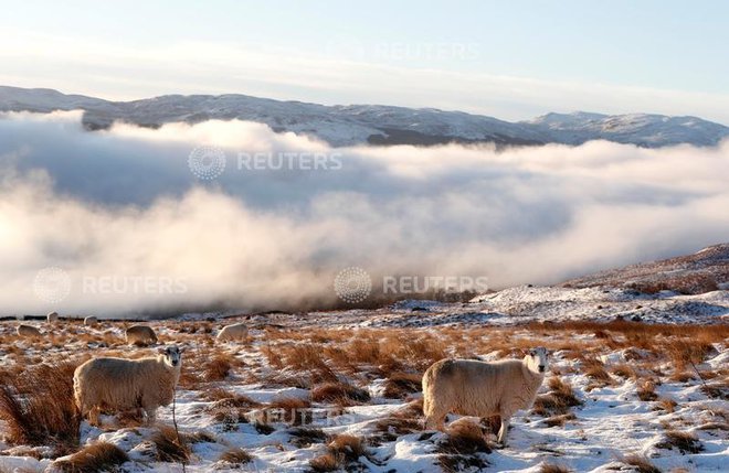 Včasih se oblaki na gori spustijo čisto nizko in objamejo ljudi in živali. Foto Reuters