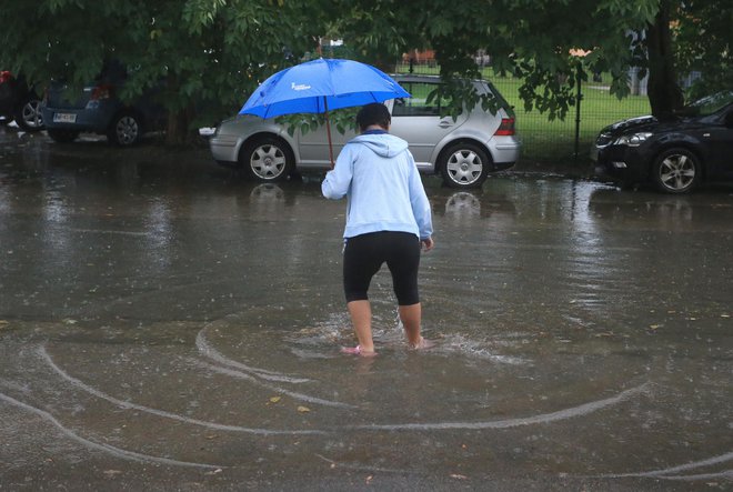 FOTO: Tadej Regent/Delo