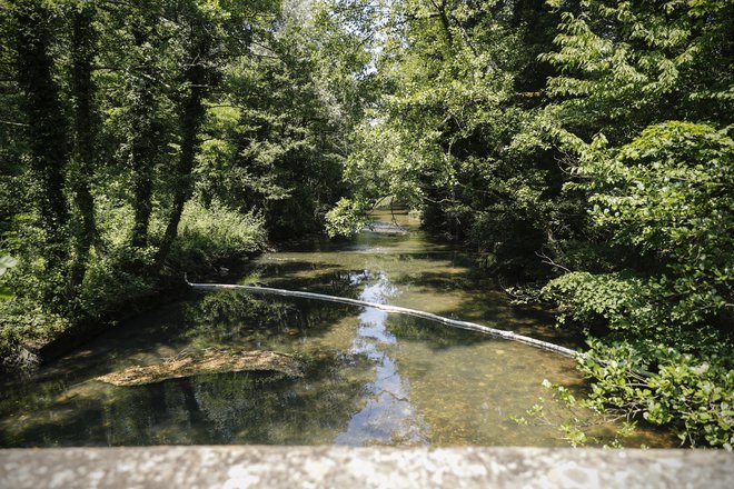 V bližini izvira reke Rižane so namestili ovire za omejitev morebitnega onesnaženja. Foto Uroš Hočevar