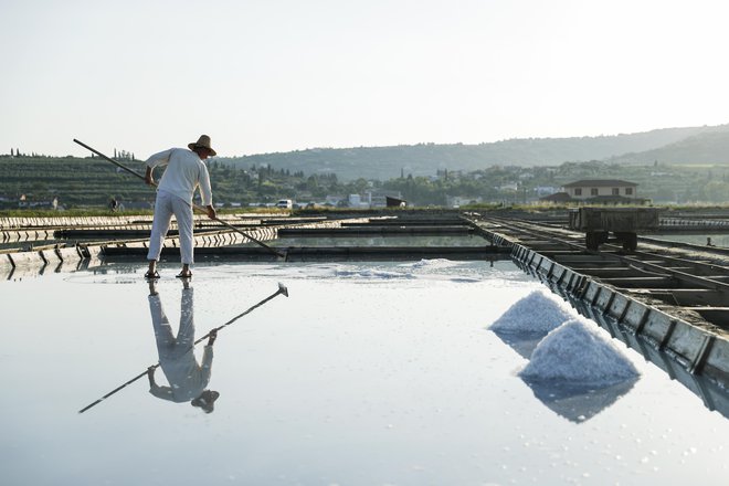 Vsak solinar v Sečoveljskih solinah obdeluje eno solno polje, ki ga tvori 24 bazenov. Z delom začne ob zori, zaključi pa ob mraku.&nbsp;FOTO: Uroš Hočevar
