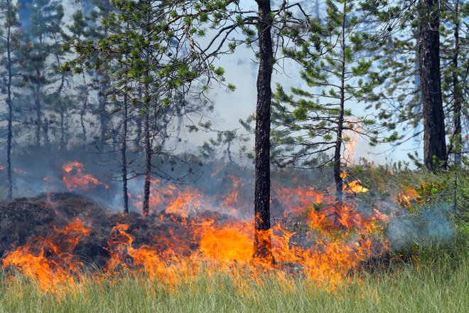 Na omenjenih območjih, kjer so razglasili oranžen alarm, bo inšpektorat RS za varstvo pred naravnimi in drugimi nesrečami in policija še naprej izvajala poostren nadzor, so sporočili. FOTO: Shutterstock