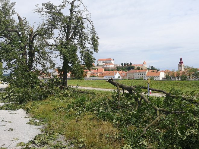 Neurje na Ptuju. FOTO: Mariborinfo