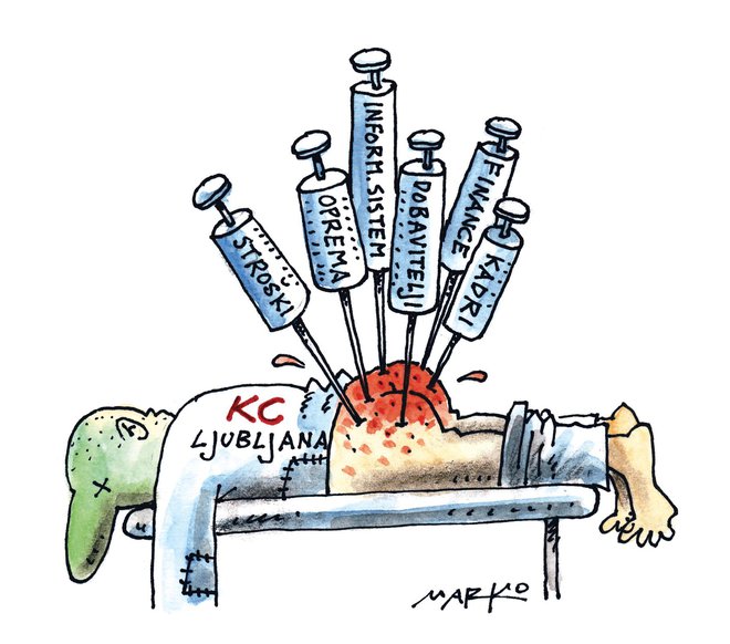 KARIKATURA: Marko Kočevar/Delo