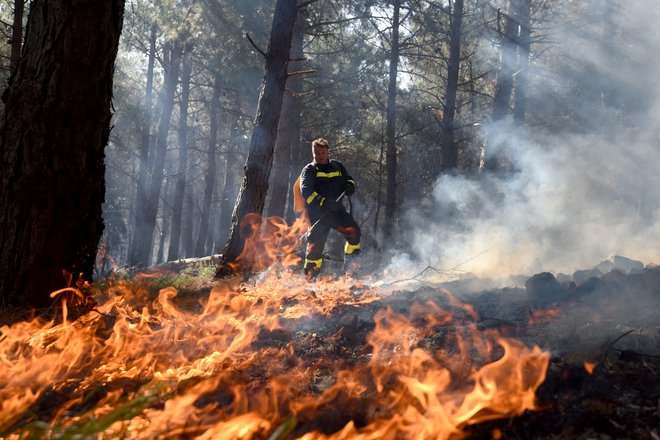 Gasilci so do jutranjih ur požar lokalizirali. Pri tem so jim pomagali tudi s helikopterji. FOTO: Jure Mišković/Cropix&nbsp;