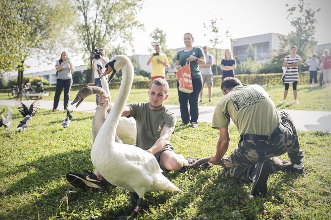 FOTO: Uroš Hočevar/Delo