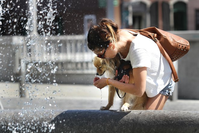 Visoke temperature zadnjih dni predvsem pri starejših povzročajo nekaj težav. FOTO: Jože Suhadolnik/Delo