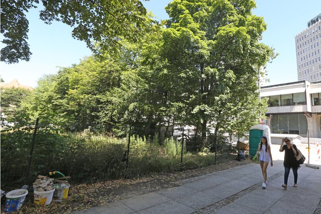 Informacija, da bo na novo pozidana zelena površina ob Erjavčevi ulici v Ljubljani, nekoč namenjena parku v javni rabi, je negativno presenetila marsikoga. Foto Tomi Lombar