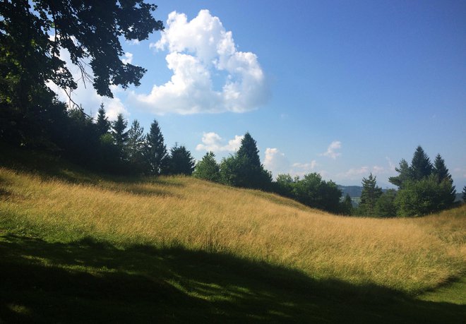 &raquo;Tu je ta naša širna, divja, lebdeča mati Narava, ki s takšno lepoto in takšno ljubeznijo do svojih otrok kot leopardka leži vsepovsod okoli nas,&laquo; Thoreau zapiše v eseju Hoja. Foto Jure Eržen