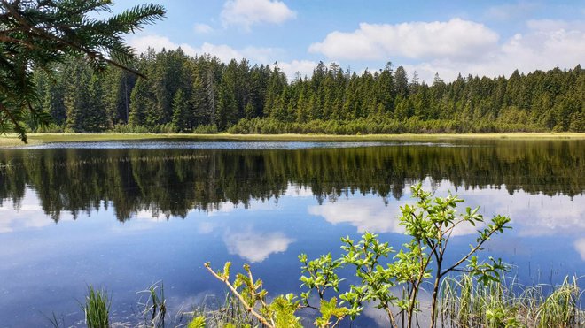 Črno jezero na Pohorju je prav zares črno, a je voda v njem kristalno čista, izvemo na strani Moja jezera. FOTO: osebni arhiv