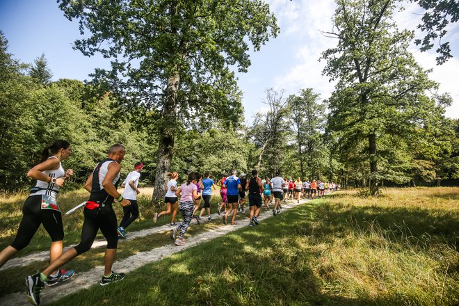 Za ustrezne priprave na enega najlepših tekov v Sloveniji so organizatorji poskrbeli z brezplačnimi tekaškimi vadbami. FOTO: Anže Krže