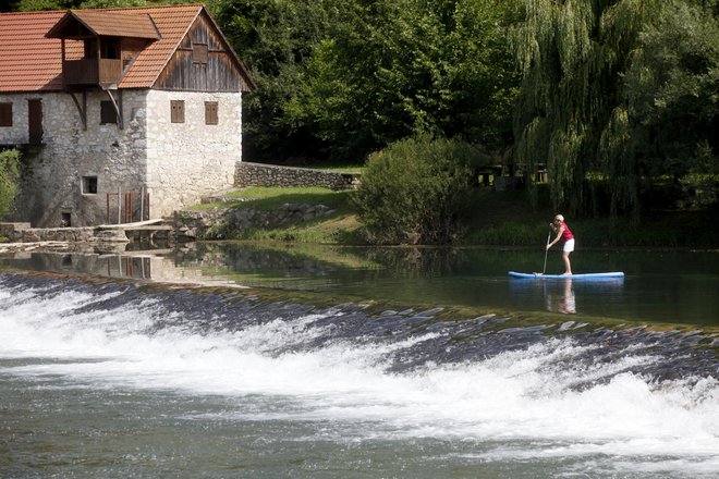 Foto Mavric Pivk