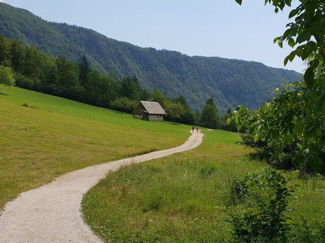 Pozdrav mimoidočega, četudi ne v visokogorju, lahko marsikomu polepša dan. FOTO: Špela Kuralt/Delo