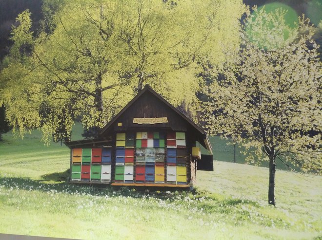 Čebelnjake, posebne hišice za čebele, je prvi omenil in upodobil Valvazor. Fotografija z razstave