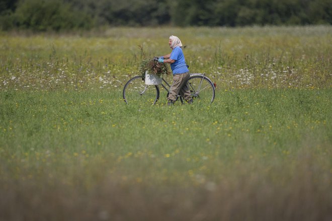 Z javnim razpisom bo ministrstvo za zdravje izbralo izvajalce, ki bodo nudili storitve za ohranjanje psihofizičnih sposobnosti starejših. FOTO: Leon Vidic/Delo