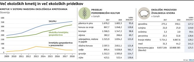 INFOGRAFIKA: Delo